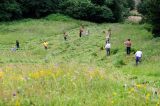 201307060741-AJS_3871.jpg